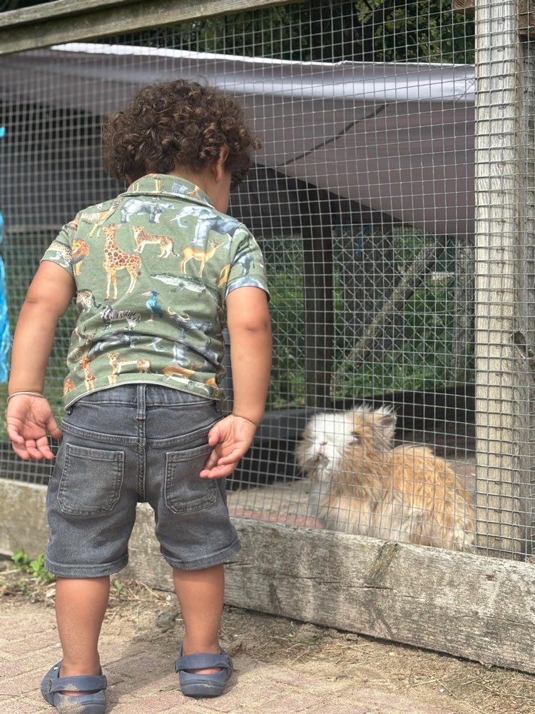 Op ontdekking bij de kinderboerderij.